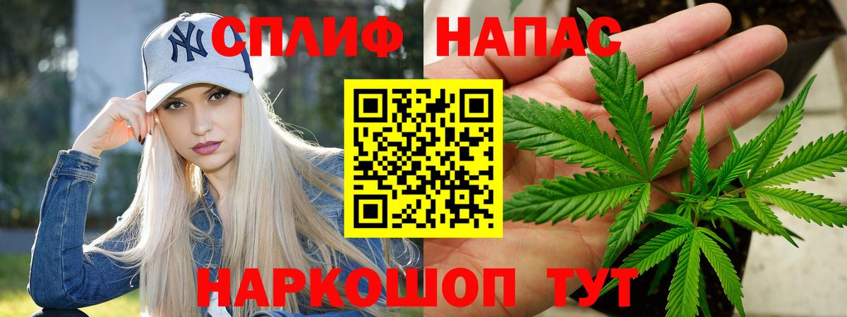 Каннабис сатива Тихорецк